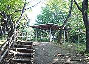 泉天ケ谷公園